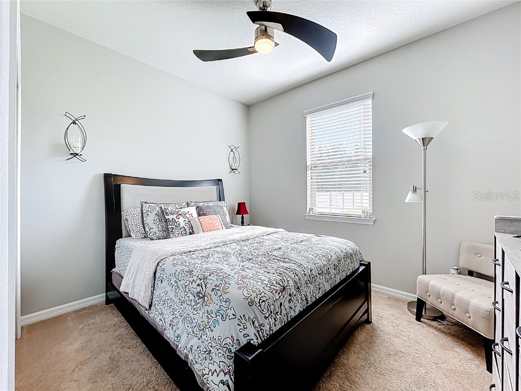 21224 Noric Cove Mount Dora FL 32757 P4936337 image57