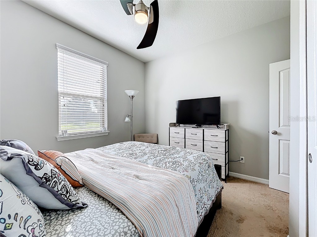 21224 Noric Cove Mount Dora FL 32757 P4936337 image58