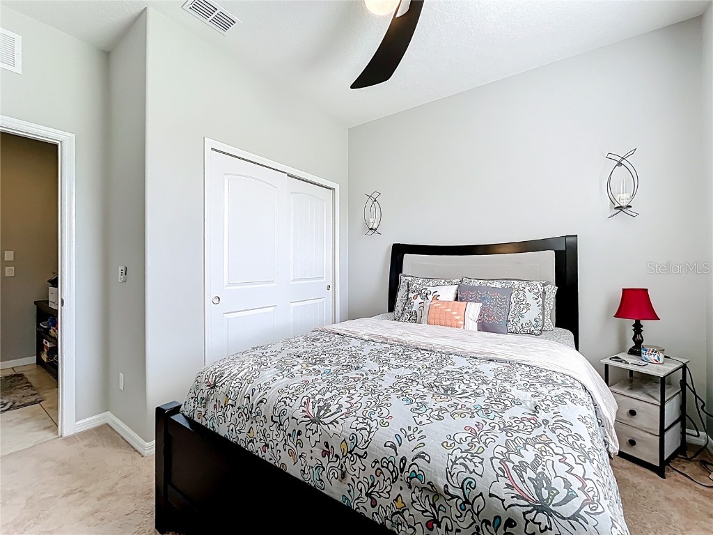 21224 Noric Cove Mount Dora FL 32757 P4936337 image60