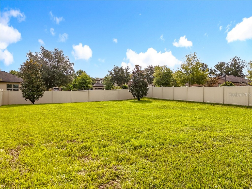 21224 Noric Cove Mount Dora FL 32757 P4936337 image67