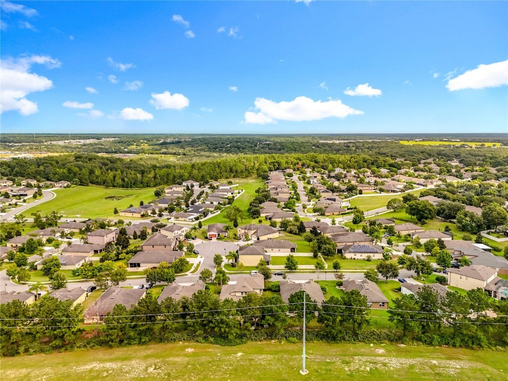 21224 Noric Cove Mount Dora FL 32757 P4936337 image74