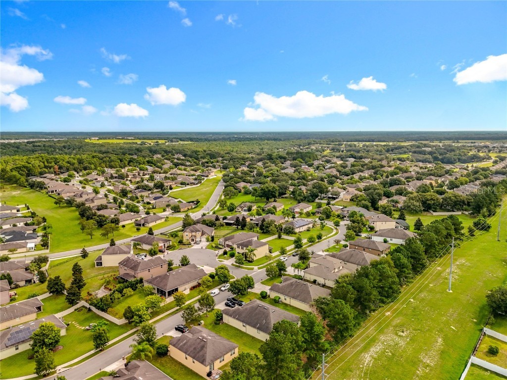 21224 Noric Cove Mount Dora FL 32757 P4936337 image76