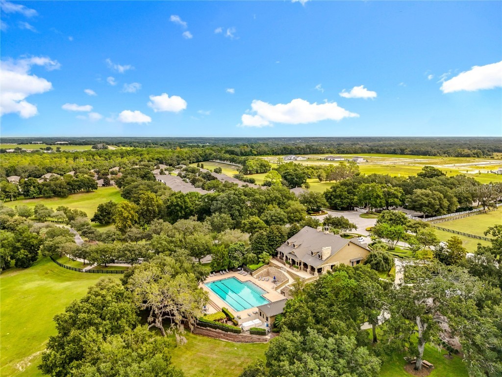 21224 Noric Cove Mount Dora FL 32757 P4936337 image92