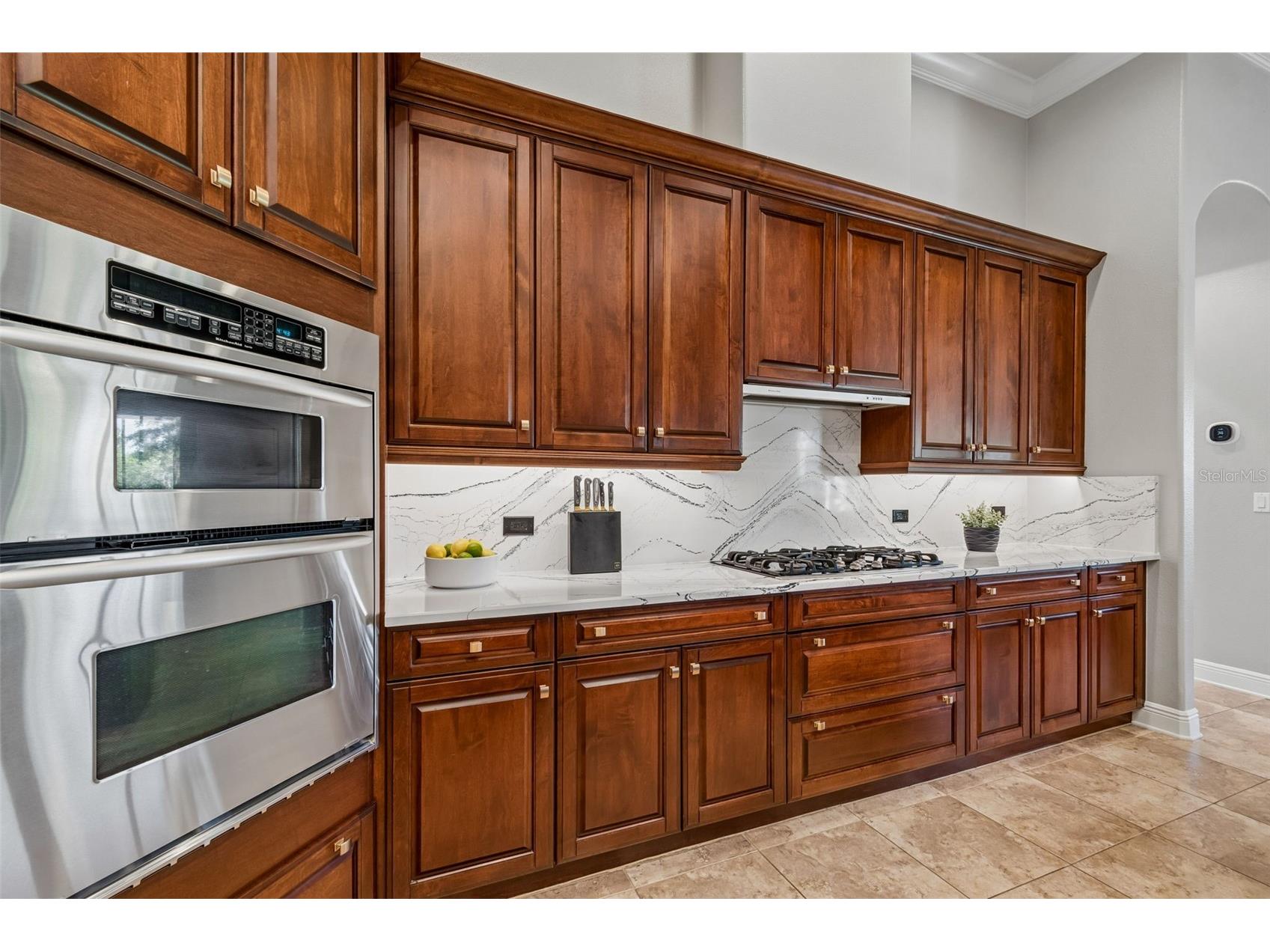 21227 Sky Vista Drive Land O Lakes FL 34637 TB8497984 image17