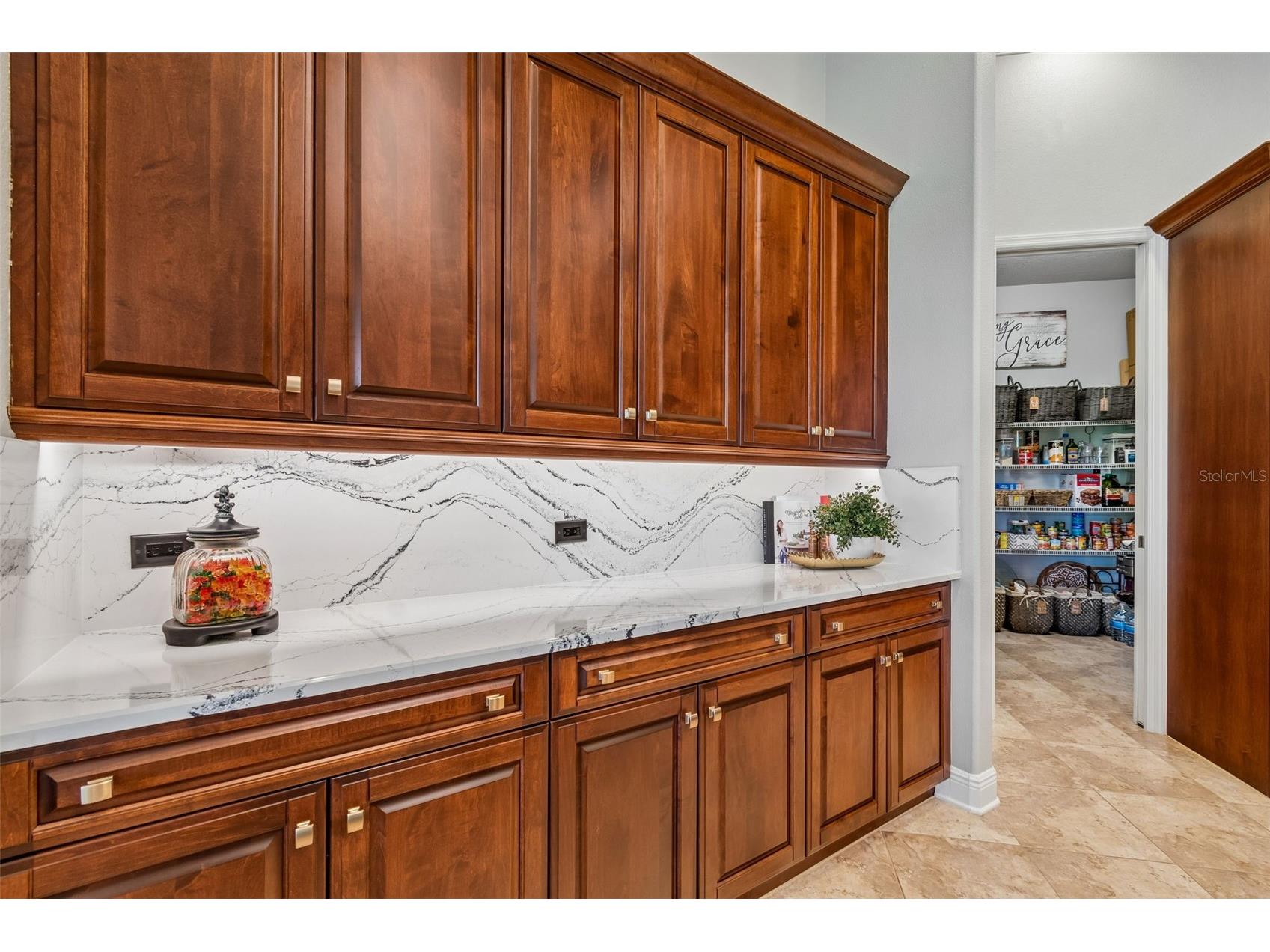 21227 Sky Vista Drive Land O Lakes FL 34637 TB8497984 image18