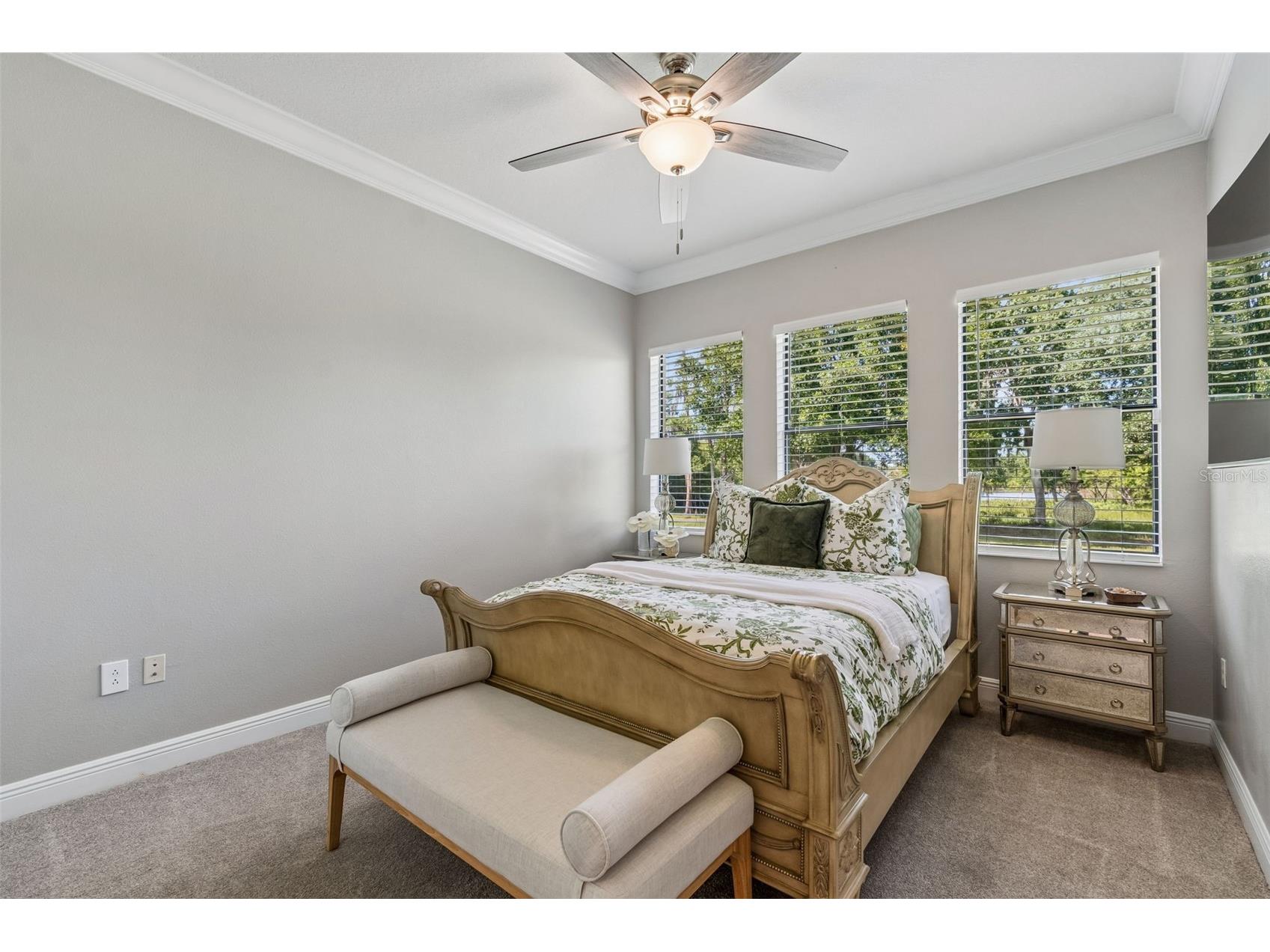 21227 Sky Vista Drive Land O Lakes FL 34637 TB8497984 image33