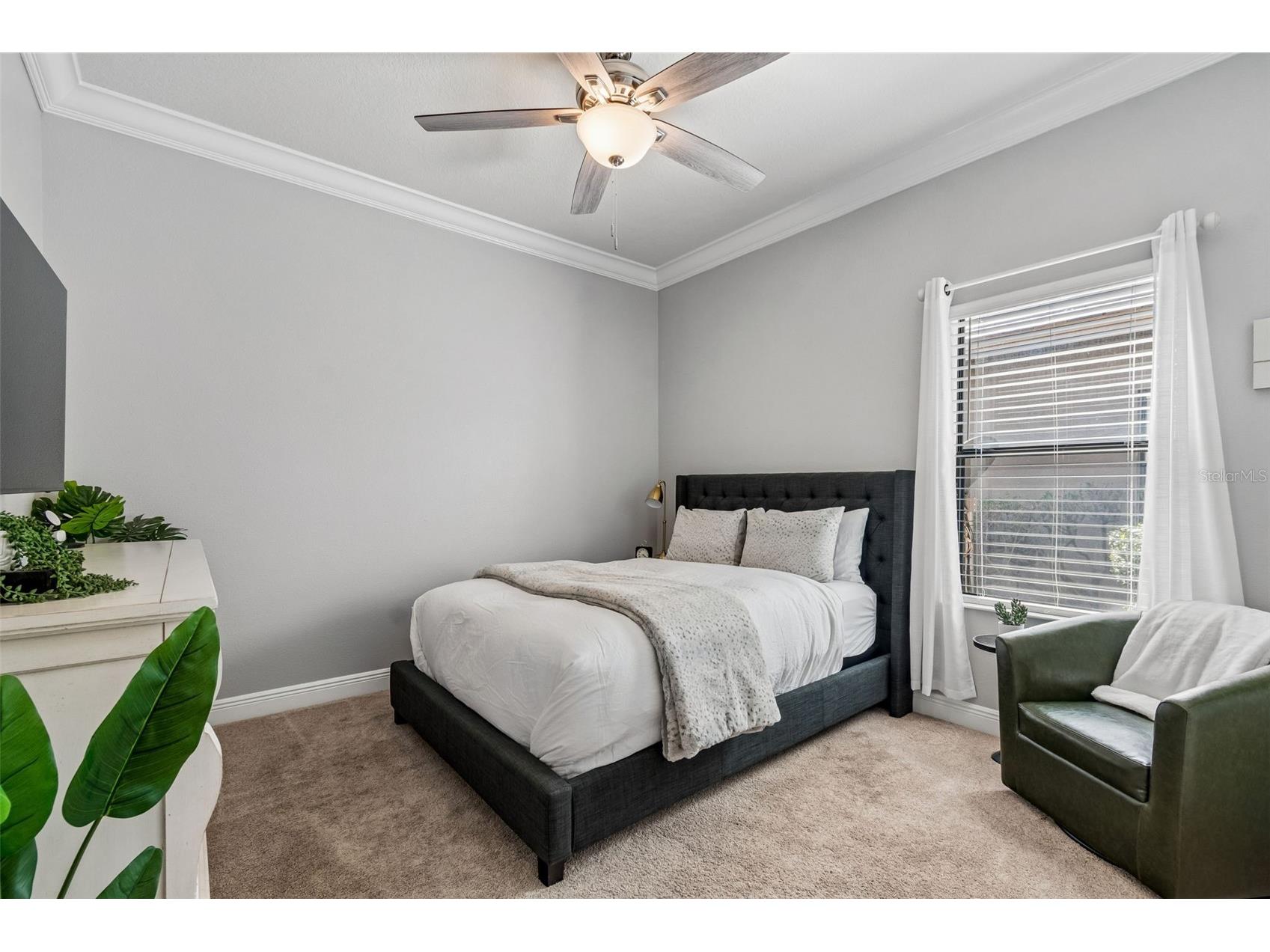 21227 Sky Vista Drive Land O Lakes FL 34637 TB8497984 image35