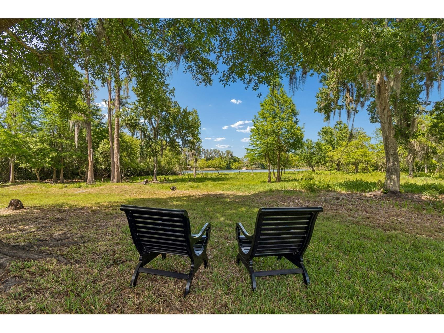 21227 Sky Vista Drive Land O Lakes FL 34637 TB8497984 image60