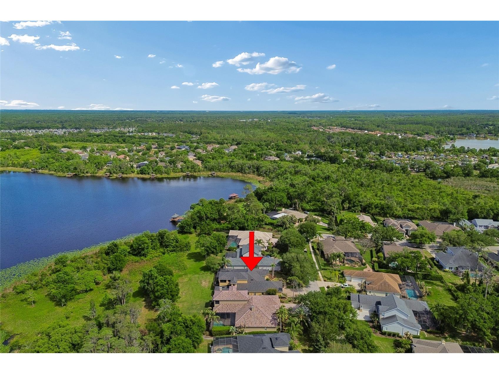 21227 Sky Vista Drive Land O Lakes FL 34637 TB8497984 image74