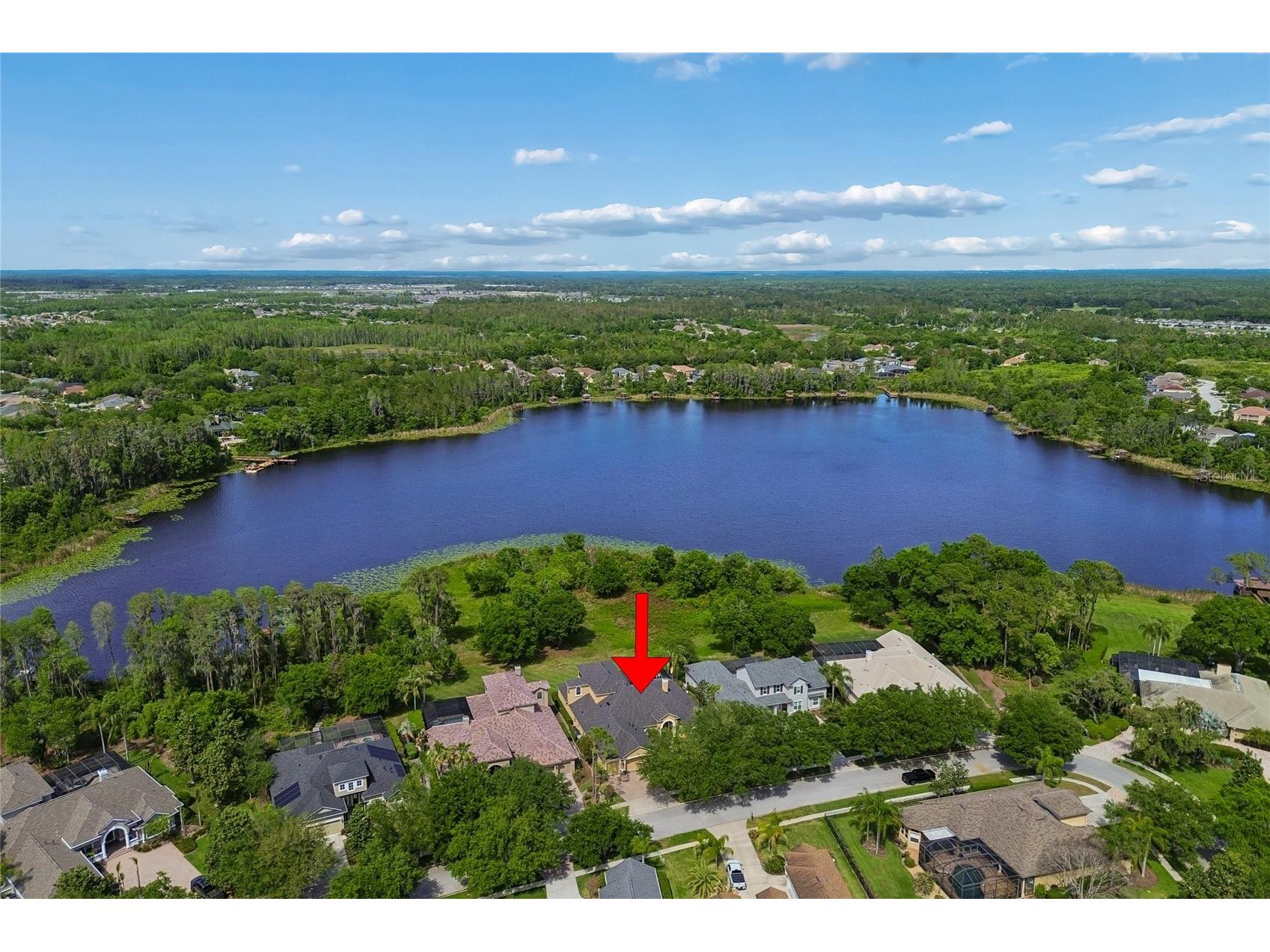 21227 Sky Vista Drive Land O Lakes FL 34637 TB8497984 image75