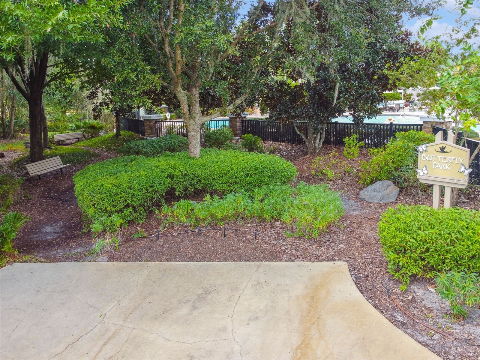 21227 Sky Vista Drive Land O Lakes FL 34637 TB8497984 image77