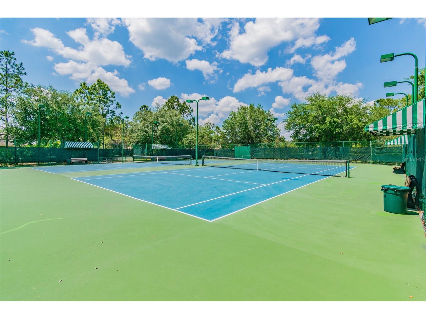 21227 Sky Vista Drive Land O Lakes FL 34637 TB8497984 image87