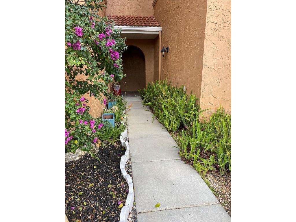 21229 Calle Rosa Drive Land O Lakes FL 34637 TB8348775 image1