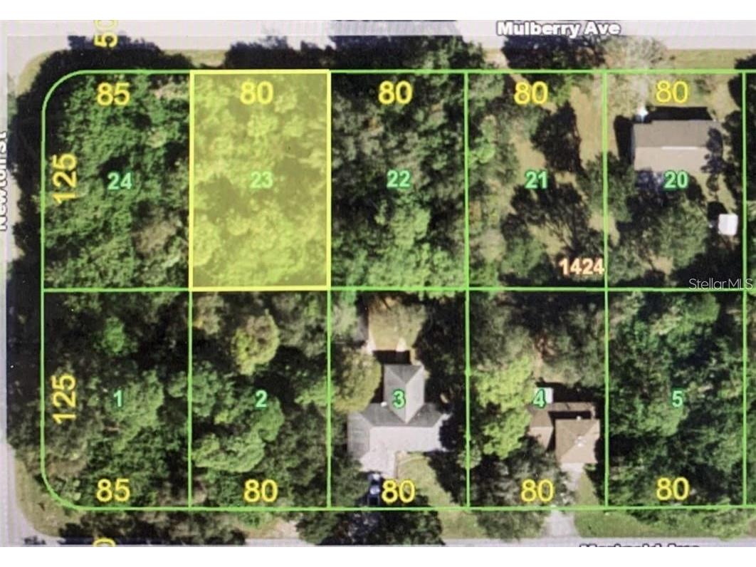 21229 Mulberry Avenue Port Charlotte FL 33952 C7451428 image1