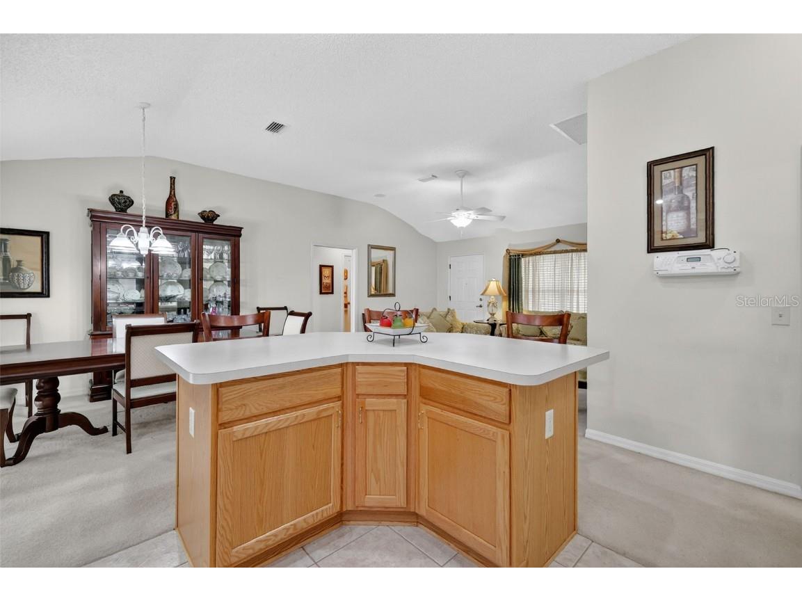 2123 Heather Hill Loop The Villages FL 32162 G5102956 image10