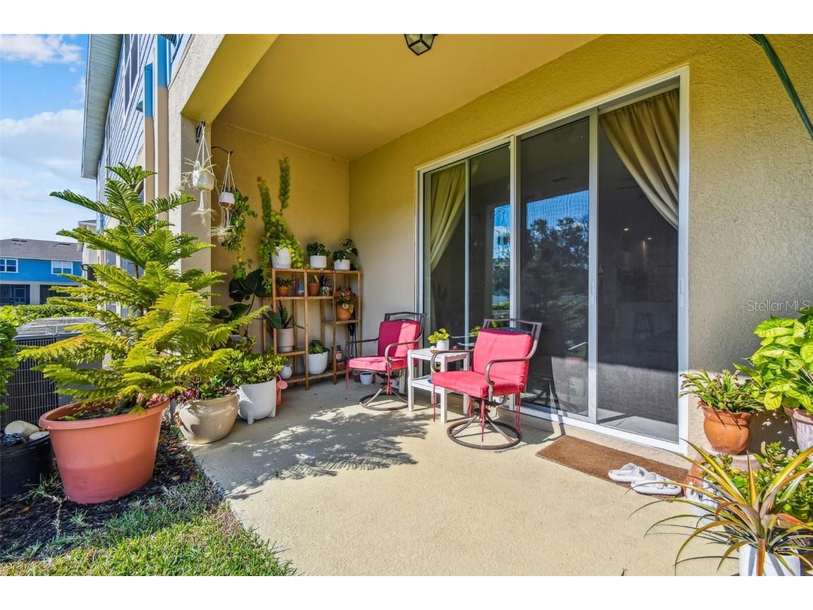 2123 Laceflower Drive Brandon FL 33510 TB8450564 image22