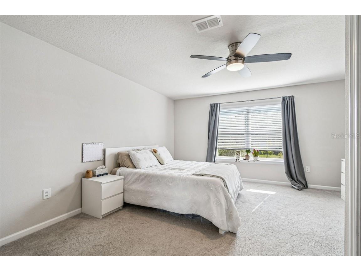 2123 Laceflower Drive Brandon FL 33510 TB8450564 image29