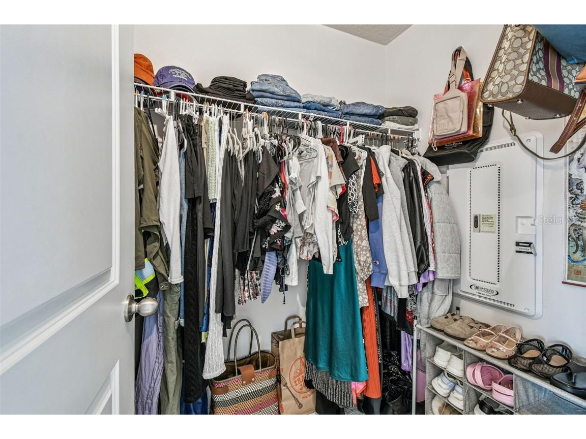 2123 Laceflower Drive Brandon FL 33510 TB8450564 image30