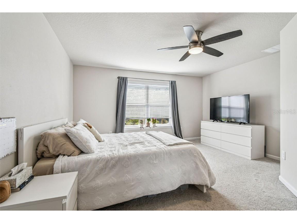 2123 Laceflower Drive Brandon FL 33510 TB8450564 image31