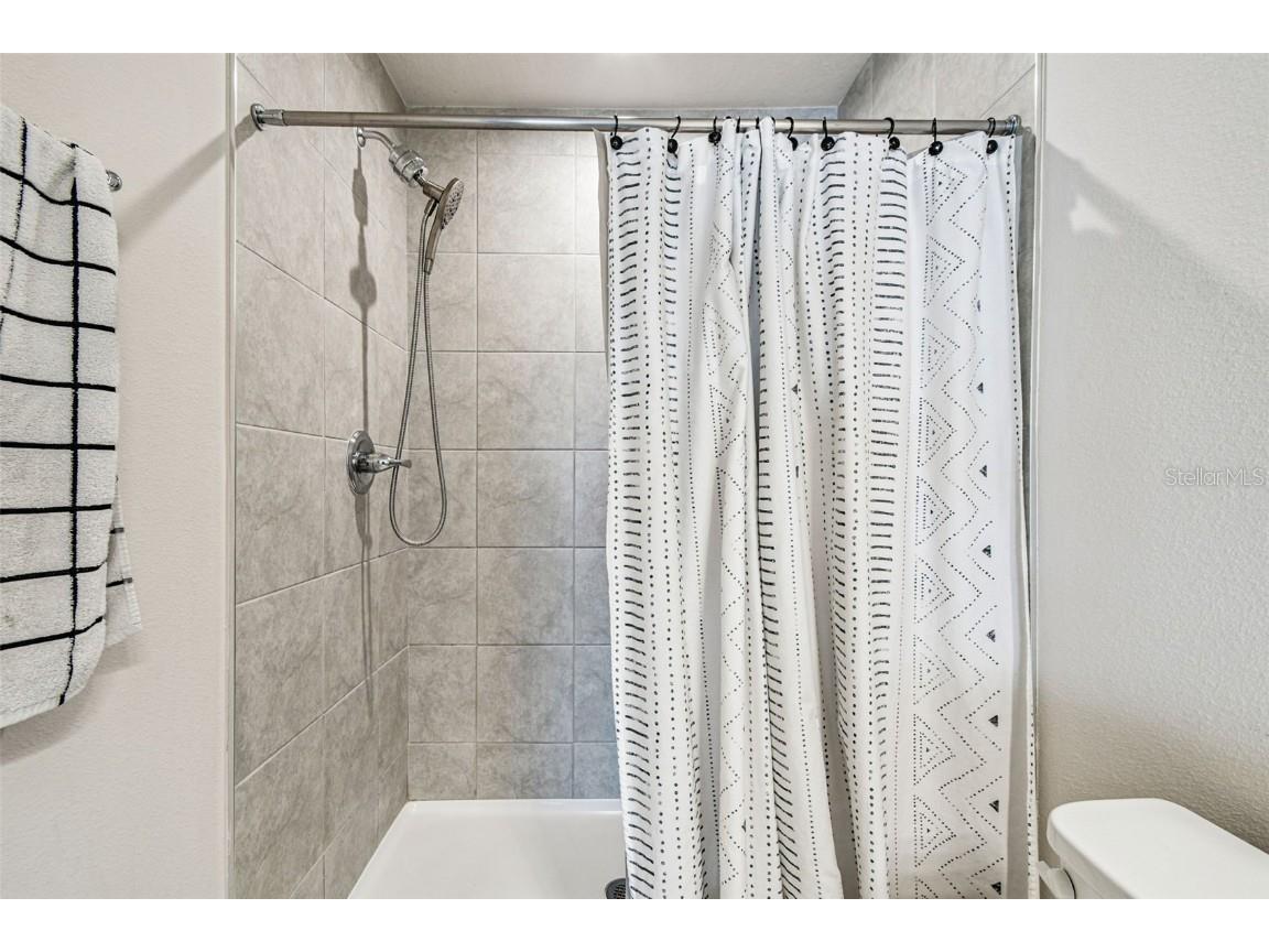 2123 Laceflower Drive Brandon FL 33510 TB8450564 image35