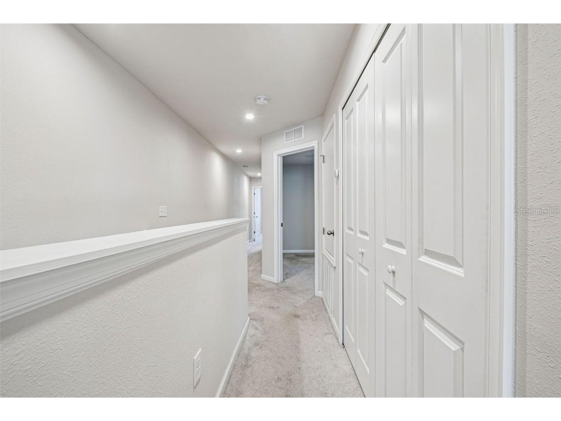 2123 Laceflower Drive Brandon FL 33510 TB8450564 image37