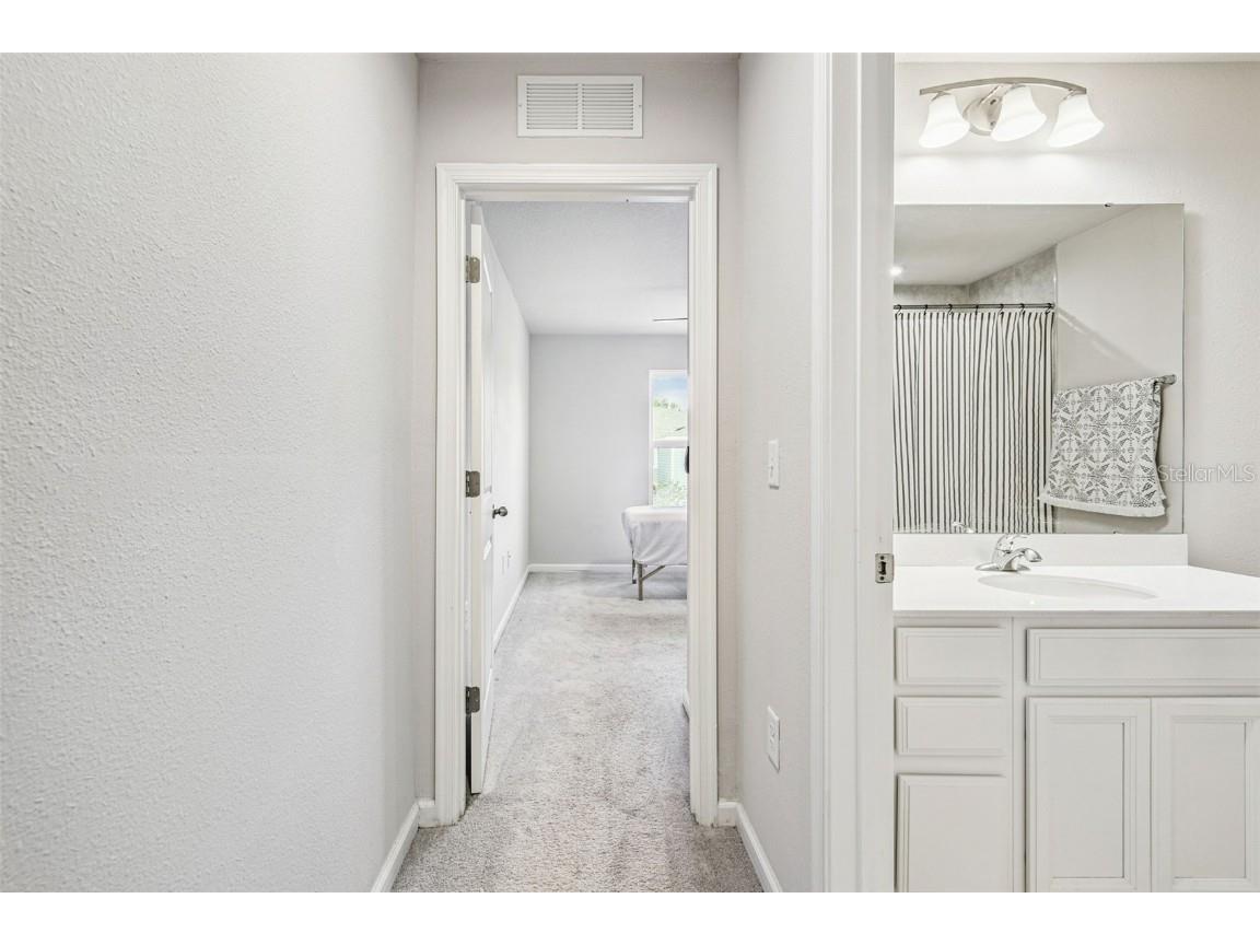 2123 Laceflower Drive Brandon FL 33510 TB8450564 image42