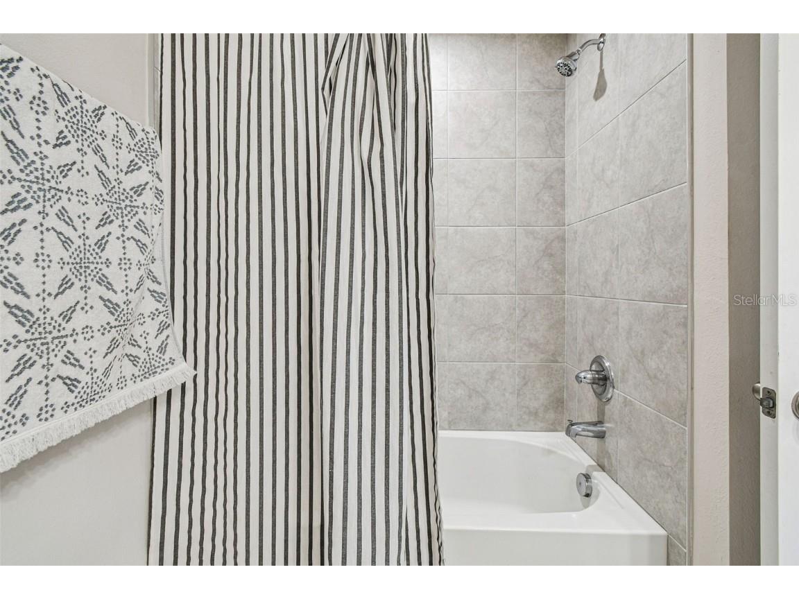 2123 Laceflower Drive Brandon FL 33510 TB8450564 image44