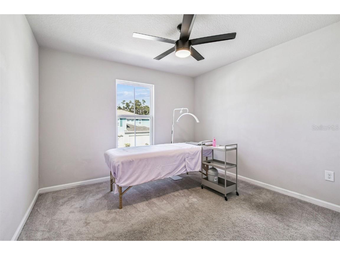 2123 Laceflower Drive Brandon FL 33510 TB8450564 image46