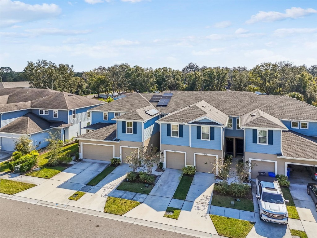 2123 Laceflower Drive Brandon FL 33510 TB8450564 image56