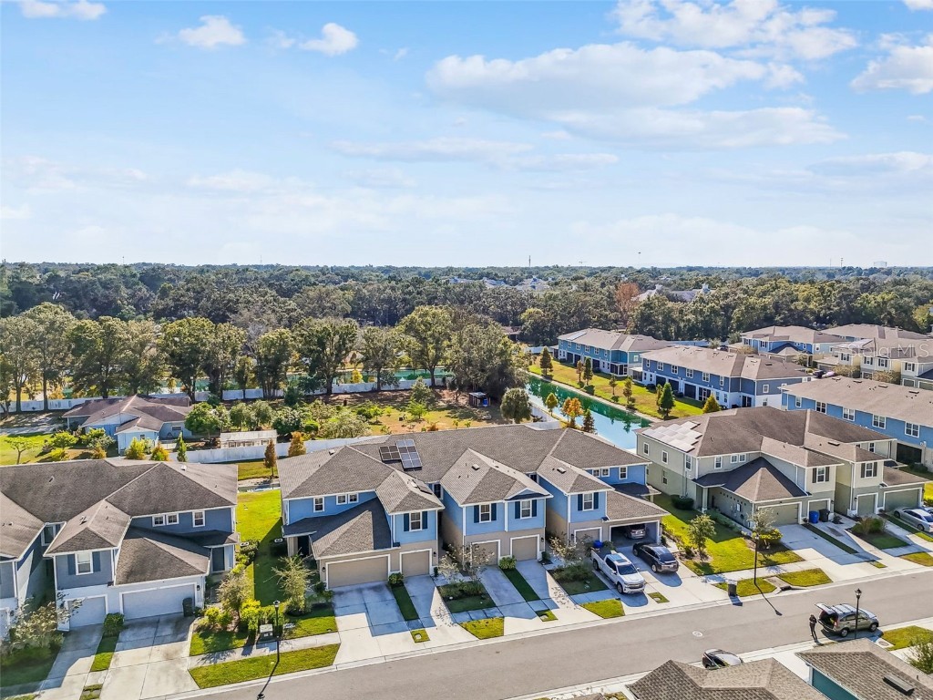 2123 Laceflower Drive Brandon FL 33510 TB8450564 image58