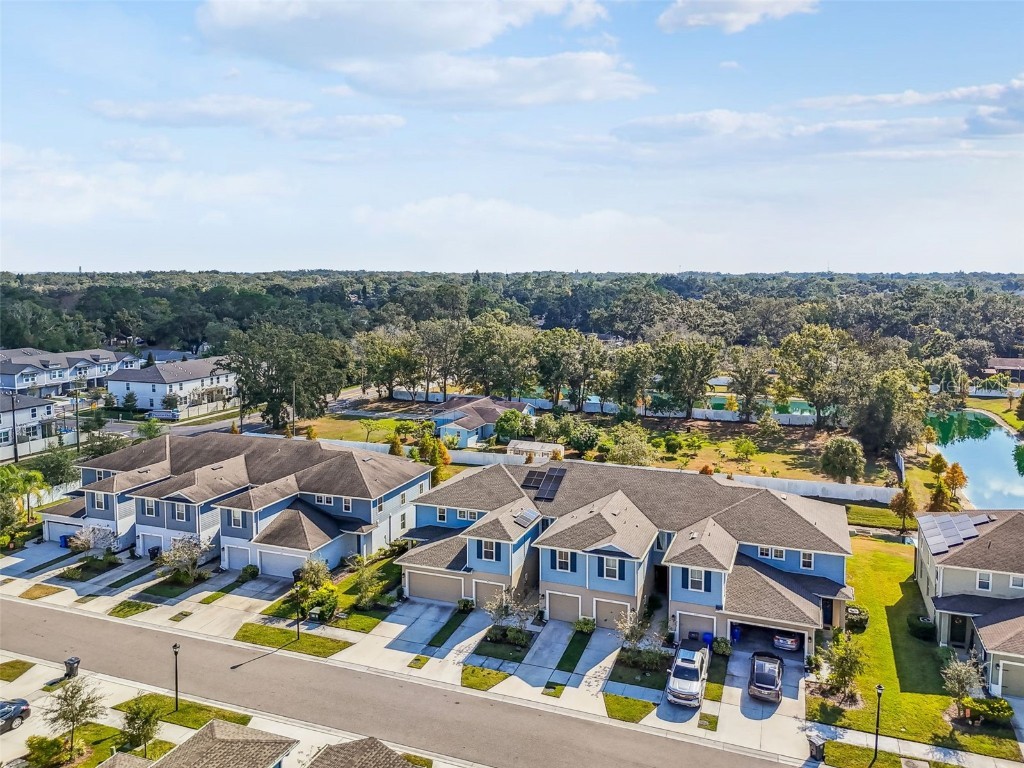 2123 Laceflower Drive Brandon FL 33510 TB8450564 image59