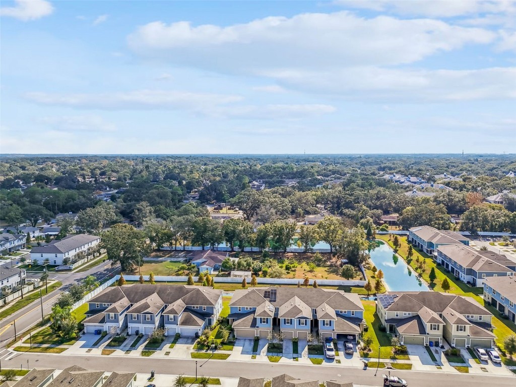 2123 Laceflower Drive Brandon FL 33510 TB8450564 image60