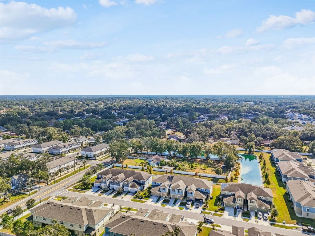 2123 Laceflower Drive Brandon FL 33510 TB8450564 image62