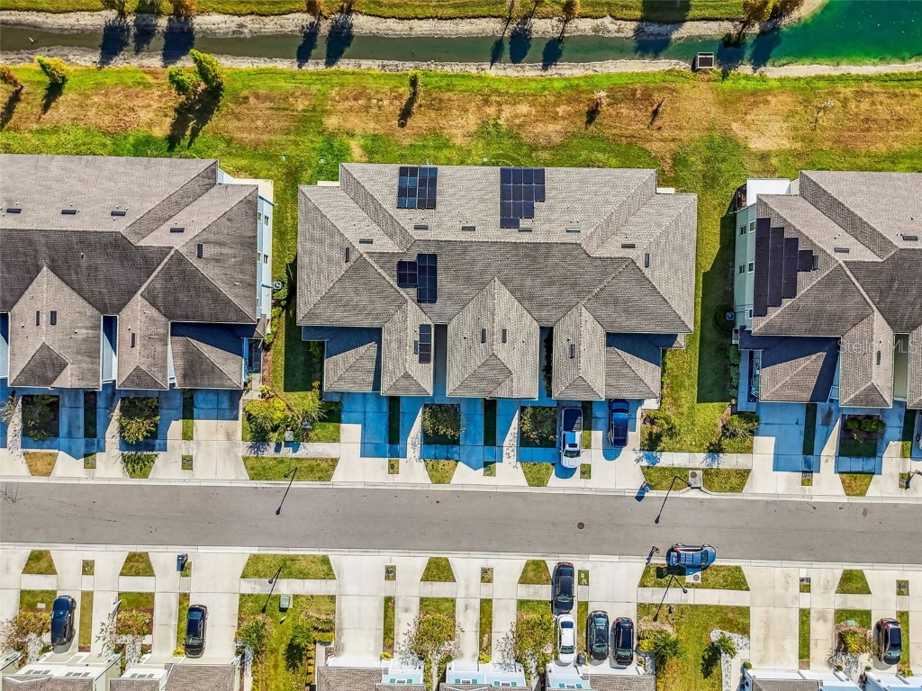 2123 Laceflower Drive Brandon FL 33510 TB8450564 image63