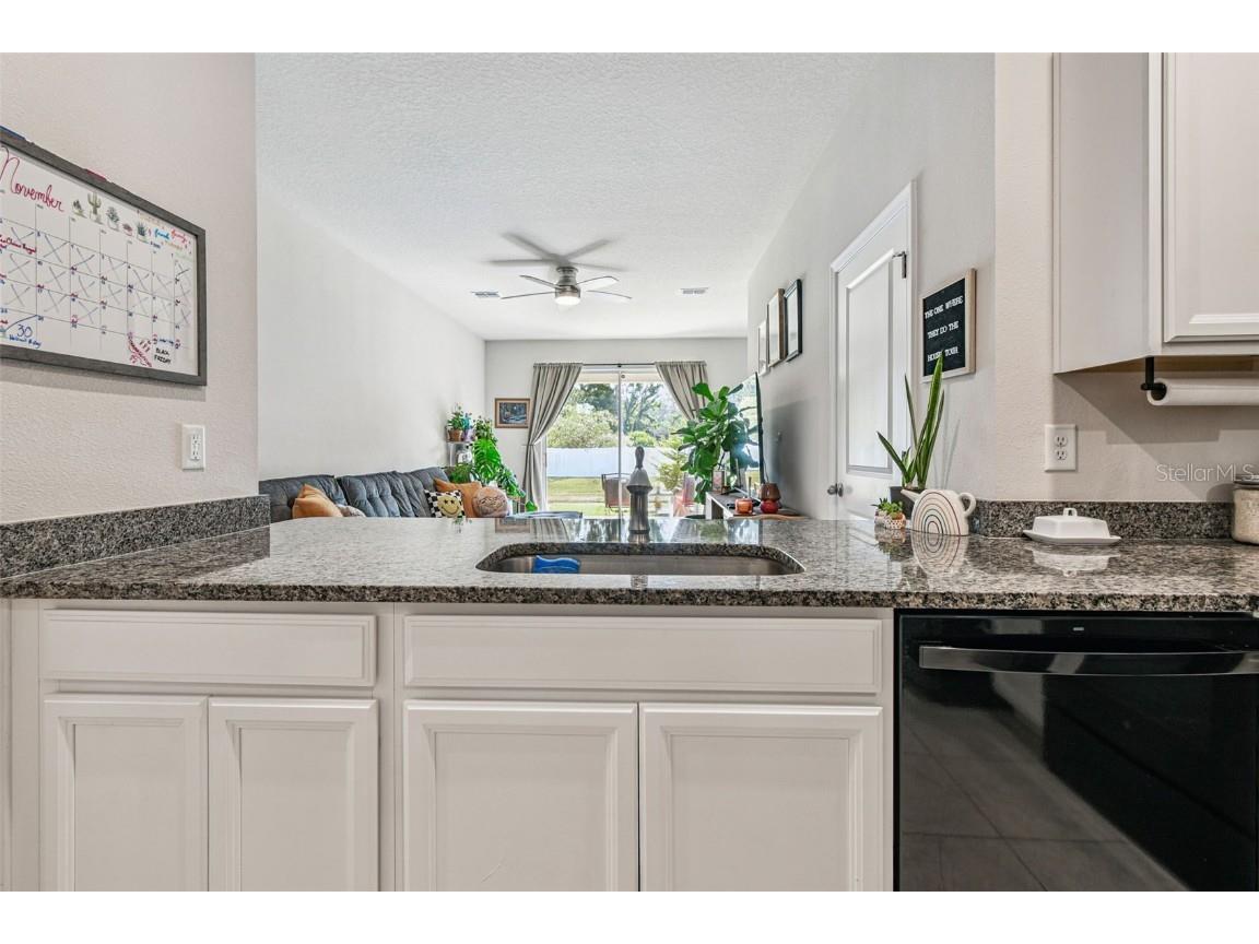 2123 Laceflower Drive Brandon FL 33510 TB8450564 image9