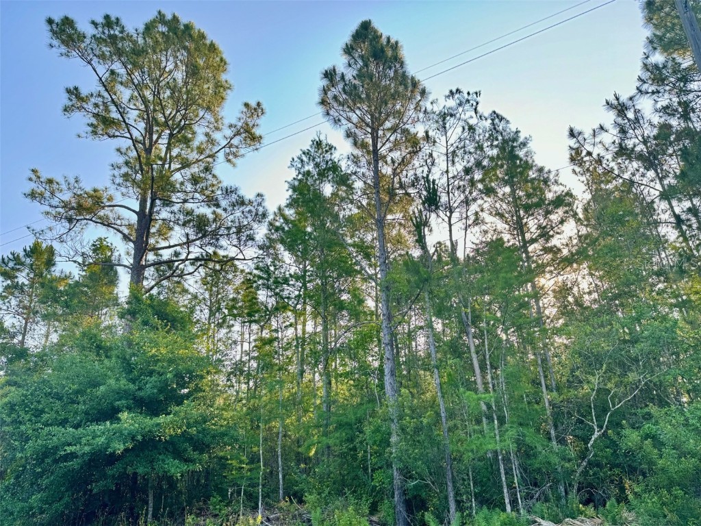 2123 Rodney Court Orlando FL 32833 O6203354 image1