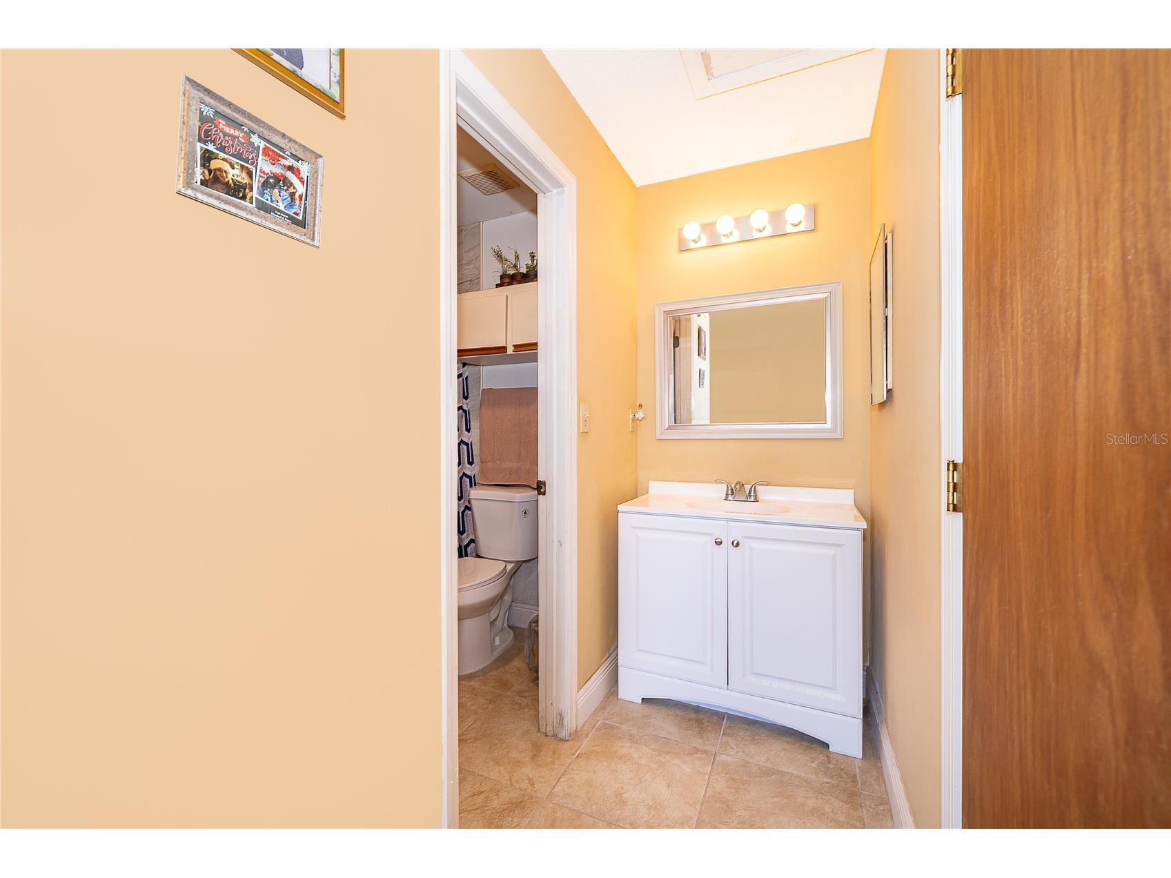 2123 St Marteen Court Kissimmee FL 34741 O6387879 image13