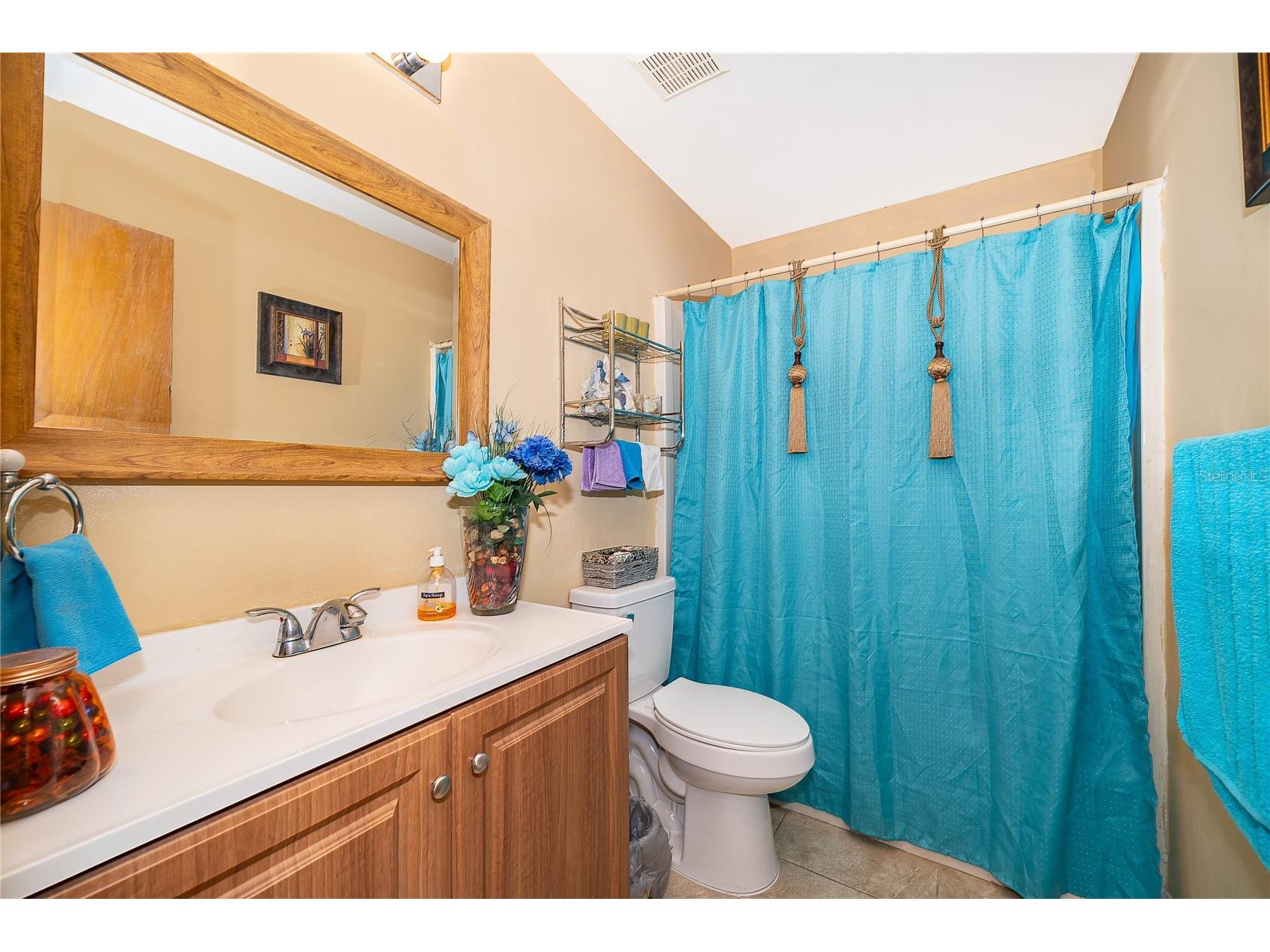 2123 St Marteen Court Kissimmee FL 34741 O6387879 image9