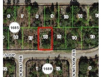 2123 W Windchime Loop Citrus Springs FL 34434 O6229549 image1