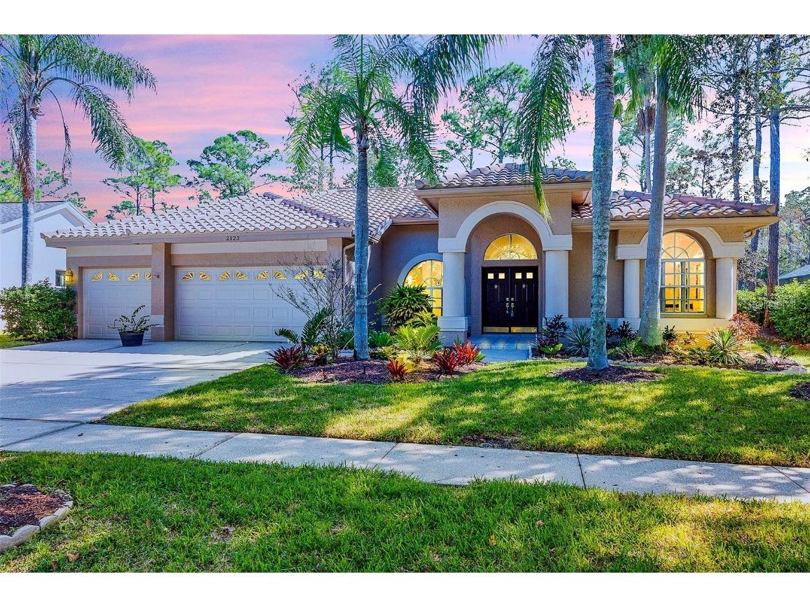 2123 Warwick Drive Oldsmar FL 34677 T3485127 image1