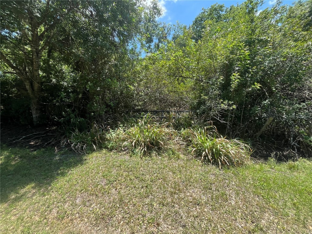 21230 NW 250th Street Okeechobee FL 34972 OK223954 image1