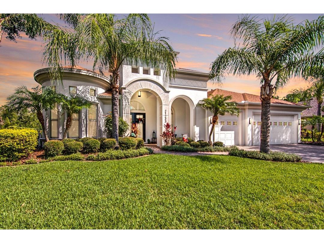 21233 Lake Vienna Drive Land O Lakes FL 34638 T3455476 image1