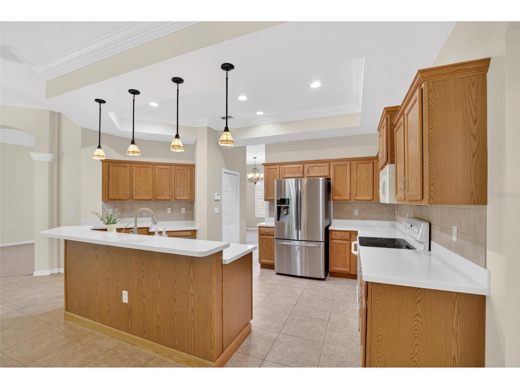 21234 Tangor Road Land O Lakes FL 34637 TB8496092 image11