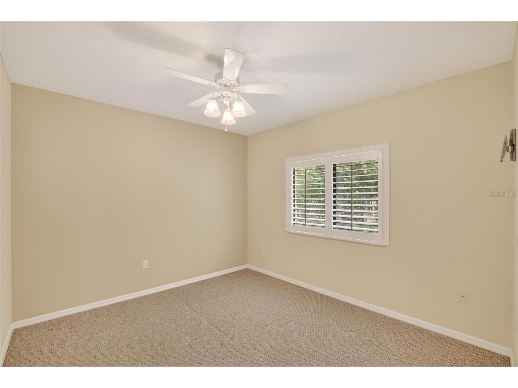 21234 Tangor Road Land O Lakes FL 34637 TB8496092 image28