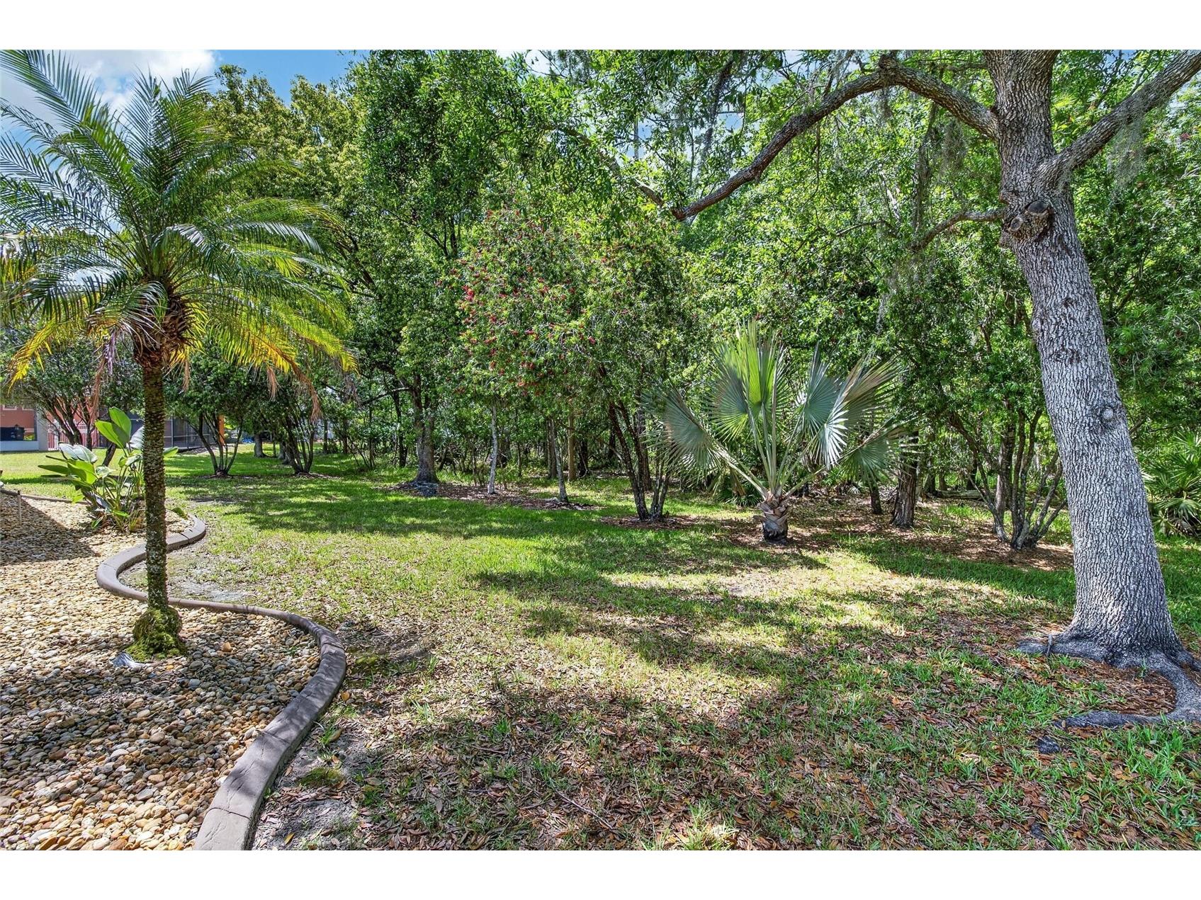 21234 Tangor Road Land O Lakes FL 34637 TB8496092 image52