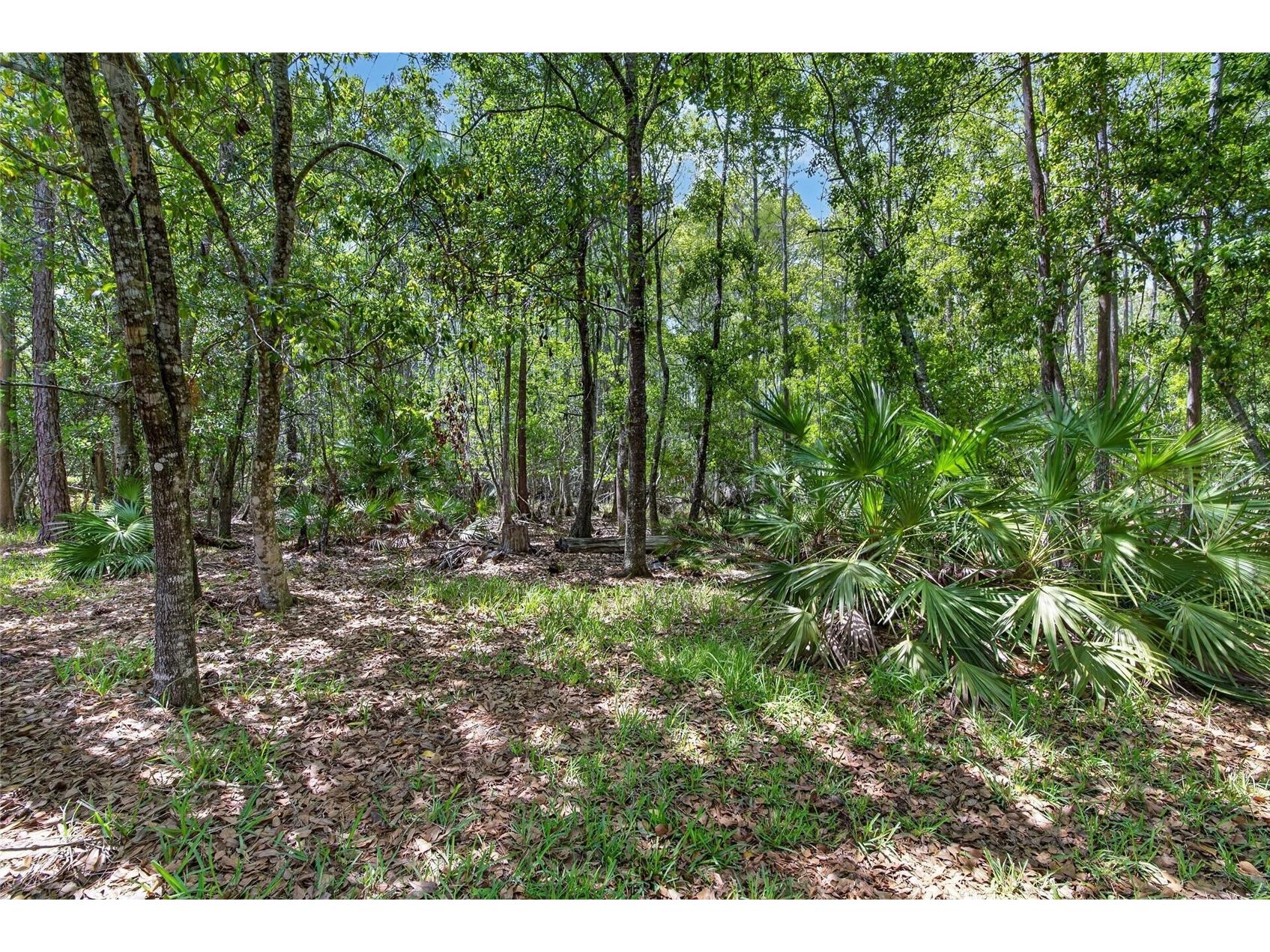 21234 Tangor Road Land O Lakes FL 34637 TB8496092 image53