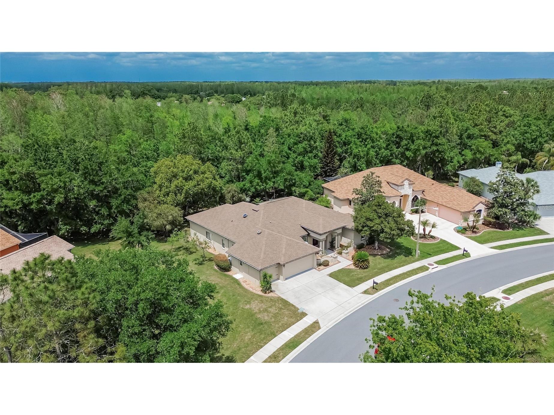 21234 Tangor Road Land O Lakes FL 34637 TB8496092 image56