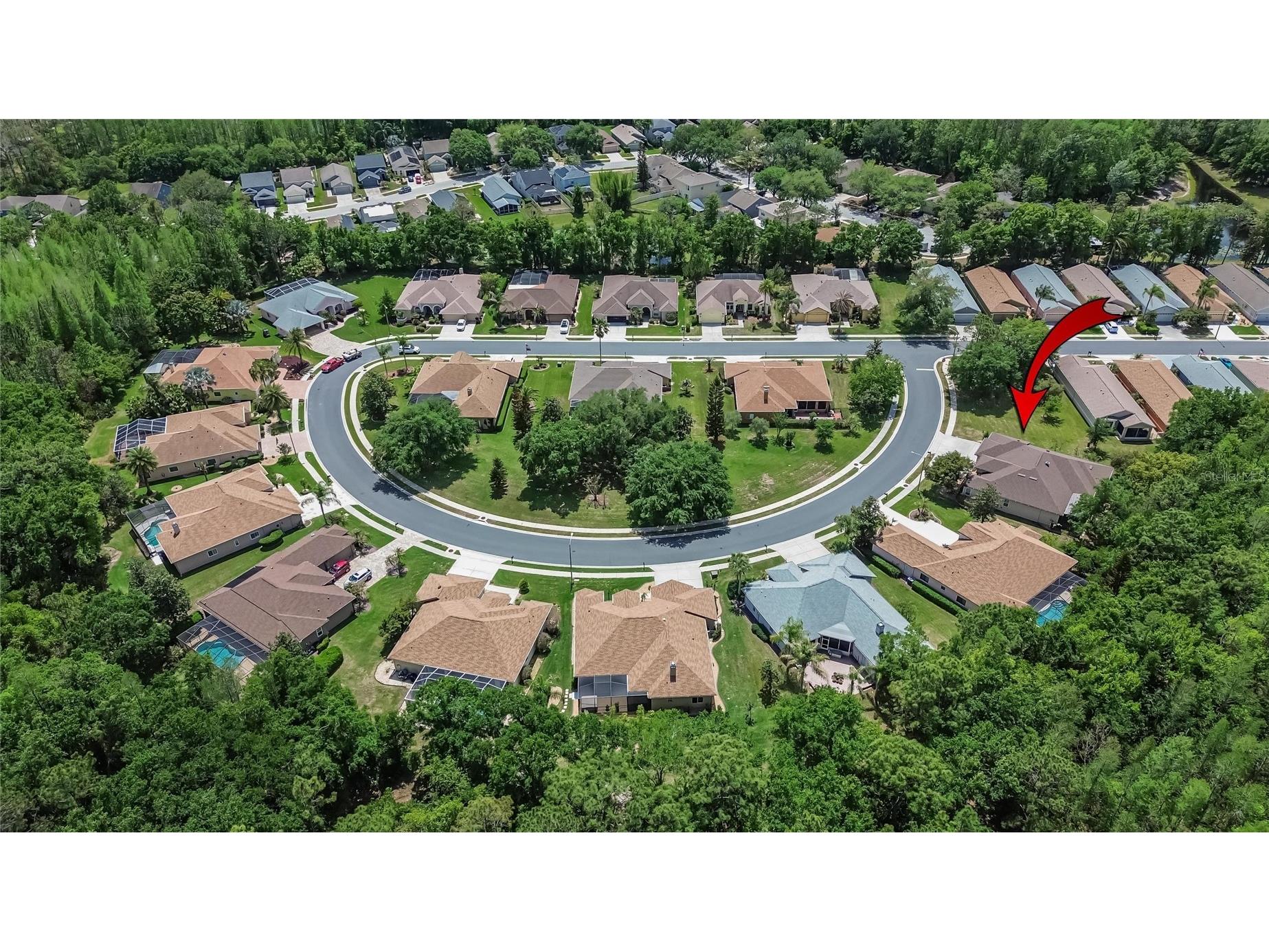 21234 Tangor Road Land O Lakes FL 34637 TB8496092 image57