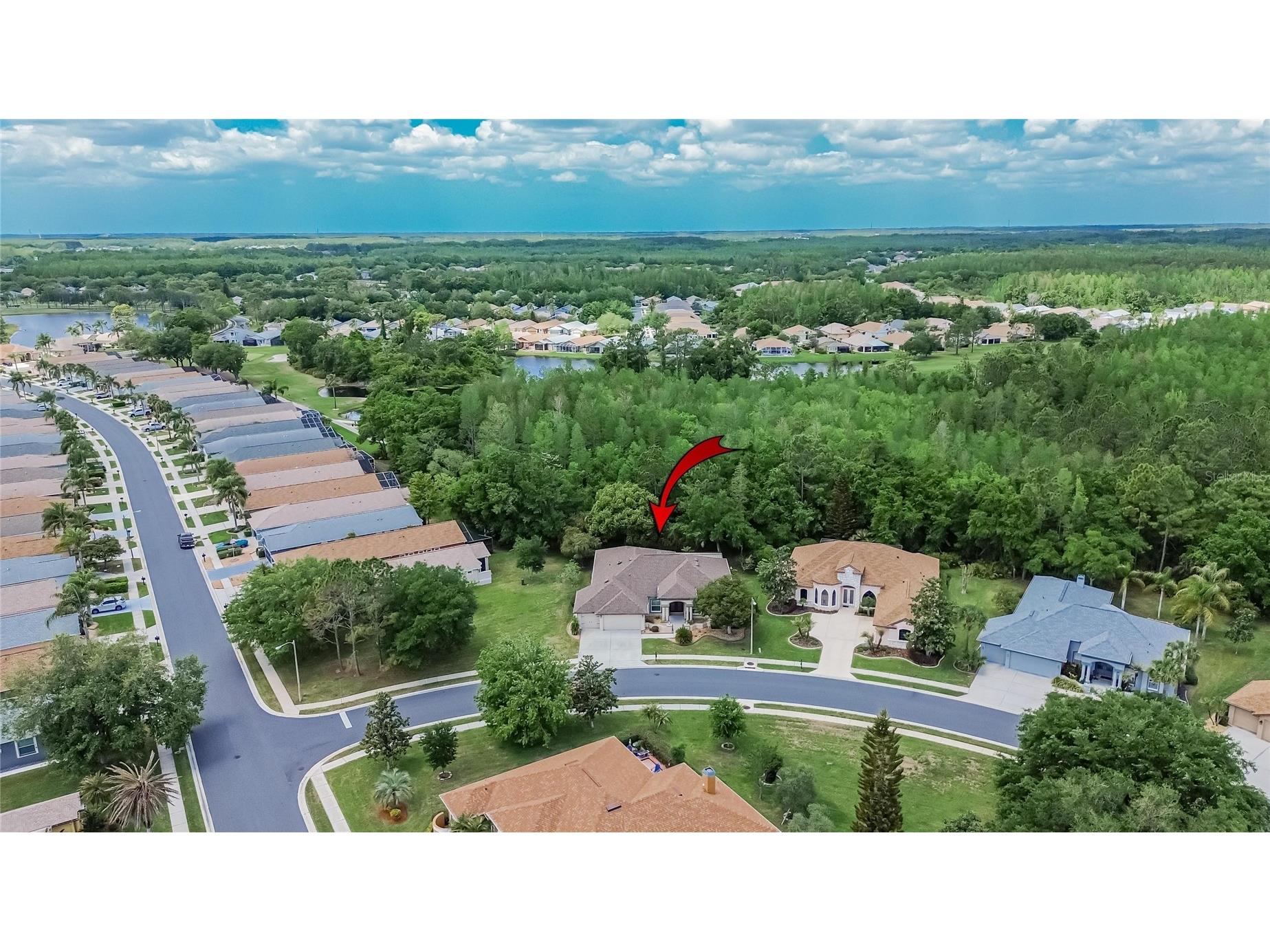 21234 Tangor Road Land O Lakes FL 34637 TB8496092 image58
