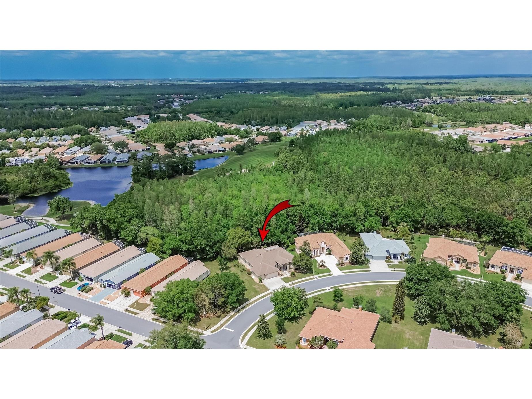 21234 Tangor Road Land O Lakes FL 34637 TB8496092 image59